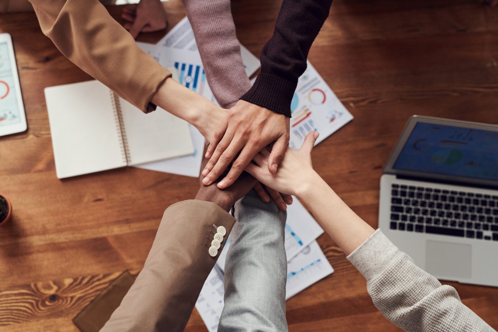 white label per agenzie marketing